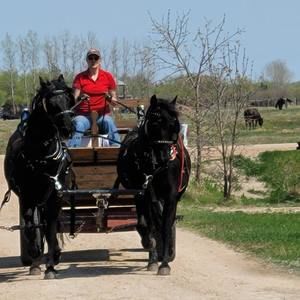 Meet your Posher, Angelina